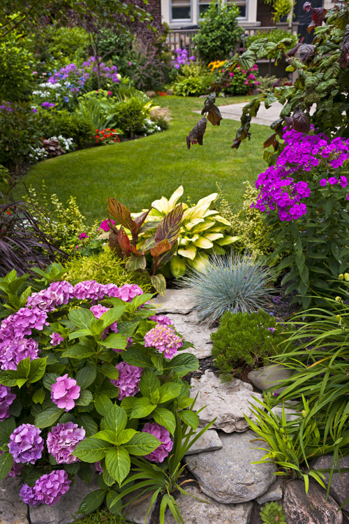 Portfolio image