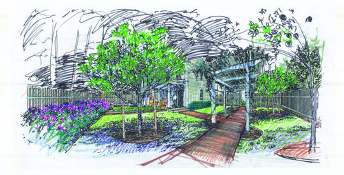 Portfolio image