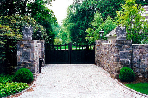Portfolio image