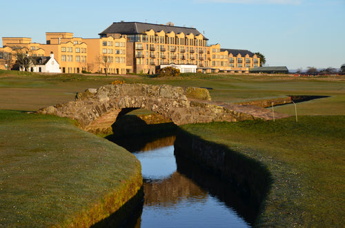 Portfolio image