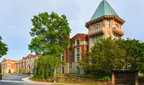 Portfolio image