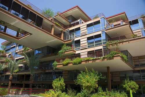 Portfolio image