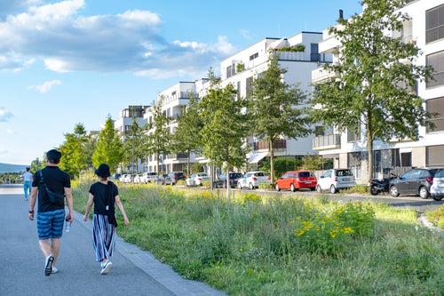 Portfolio image