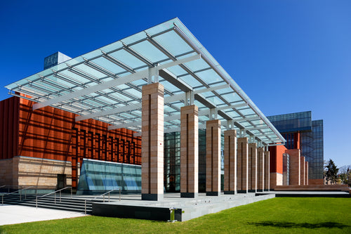 Portfolio image