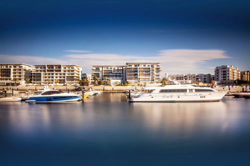 Portfolio image