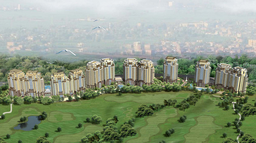 Portfolio image