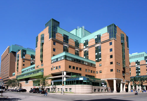 Portfolio image
