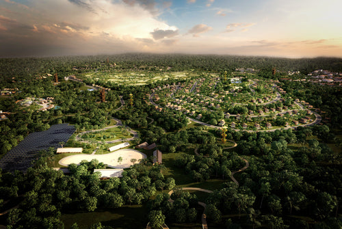Portfolio image