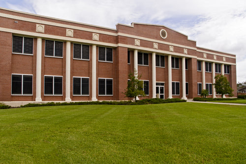 Portfolio image