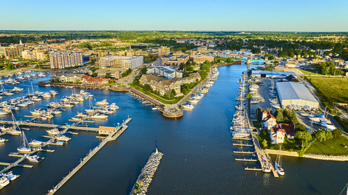 Portfolio image