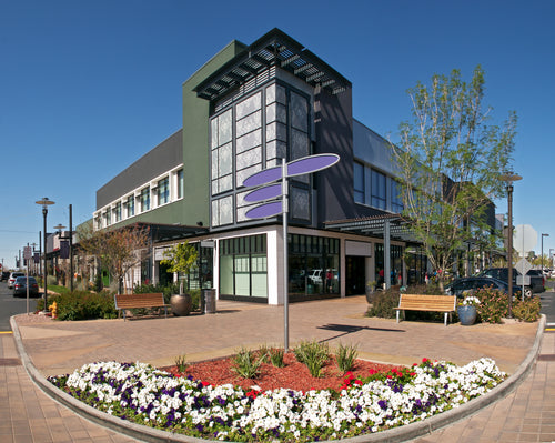 Portfolio image
