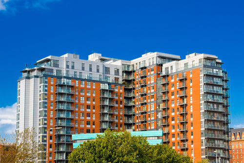 Portfolio image