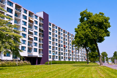Portfolio image