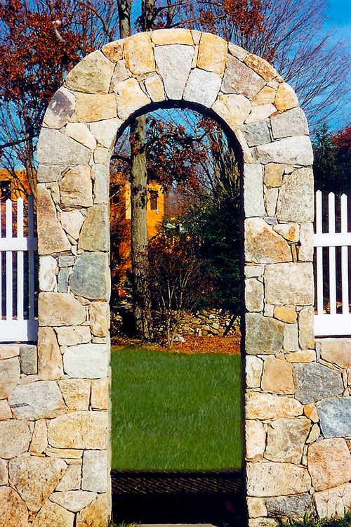 Portfolio image