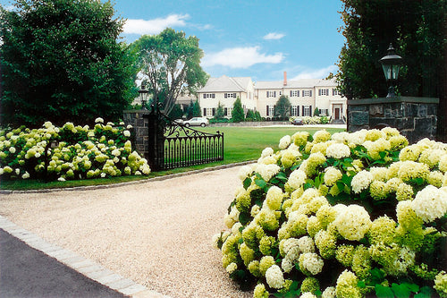 Portfolio image